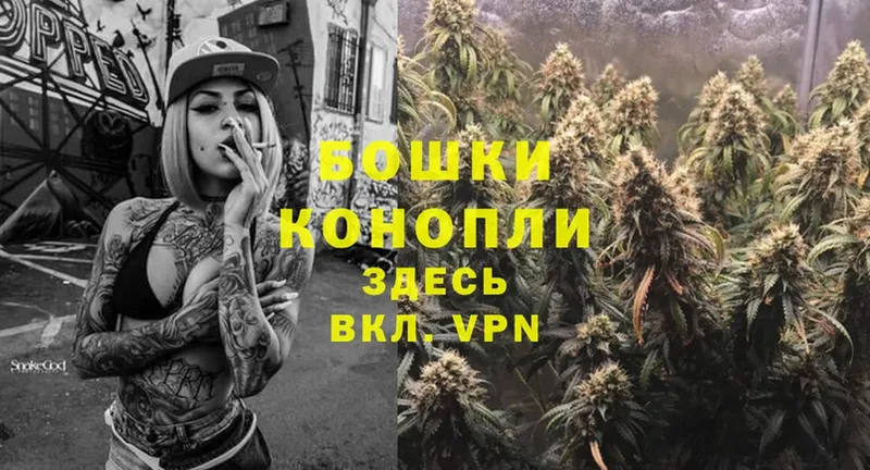 Бошки Шишки SATIVA & INDICA  как найти закладки  Полевской 